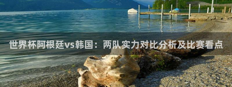 世界杯 2026:世界杯阿根廷vs韩国:两队实力对比分析及比赛看点