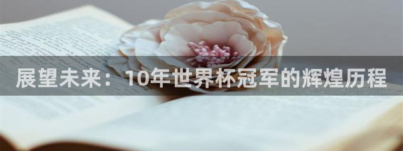 世界杯亚洲区预选赛:展望未来:10年世界杯冠军的辉煌历程