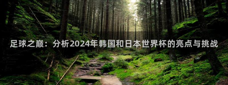 世界杯亚洲区预选赛赛程:足球之巅:分析2024年韩国和日本世界杯的亮点与挑战