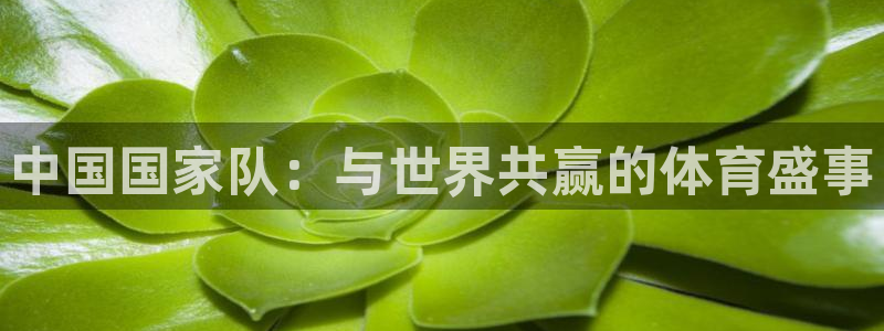 2026世界杯亚洲区预选赛赛程:中国国家队:与世界共赢的体育盛事