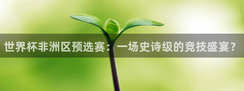 2026年世界杯对阵图:世界杯非洲区预选赛:一场史诗级的竞技盛宴?