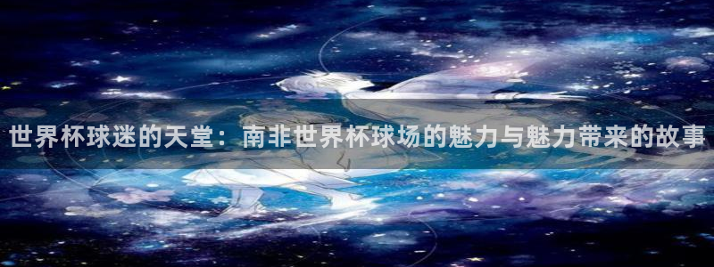 世界杯48支球队赛制:世界杯球迷的天堂:南非世界杯球场的魅力与魅力带来的故事