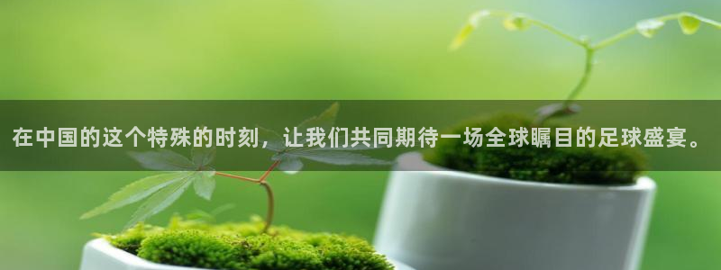 世界杯在线直播:在中国的这个特殊的时刻,让我们共同期待一场全球瞩目的足球盛宴。