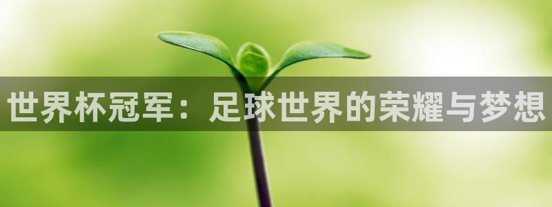 2026世界杯倒计时:世界杯冠军:足球世界的荣耀与梦想