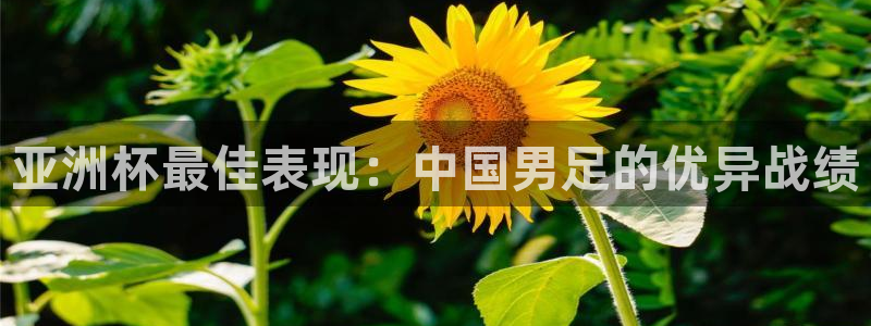 世界杯亚洲区预选赛:亚洲杯最佳表现:中国男足的优异战绩