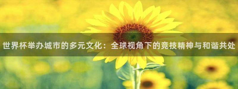 世界杯2026赛程表:世界杯举办城市的多元文化:全球视角下的竞技精神与和谐共处